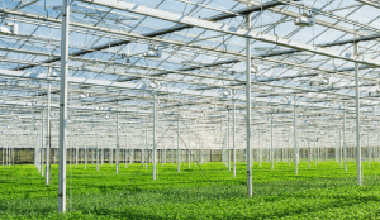 環(huán)境保護(hù)